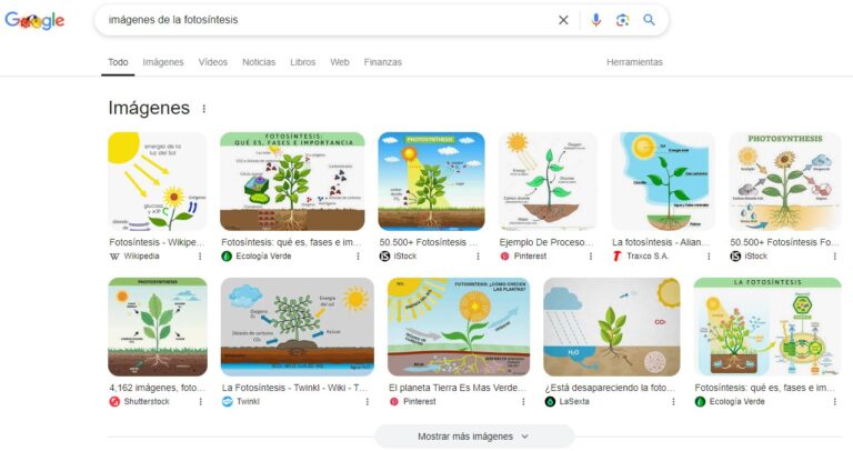 resultado imagenes serp