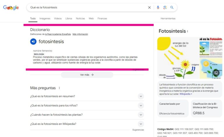 resultado posicion cero en serp