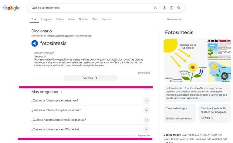 resultado preguntas people also ask serp